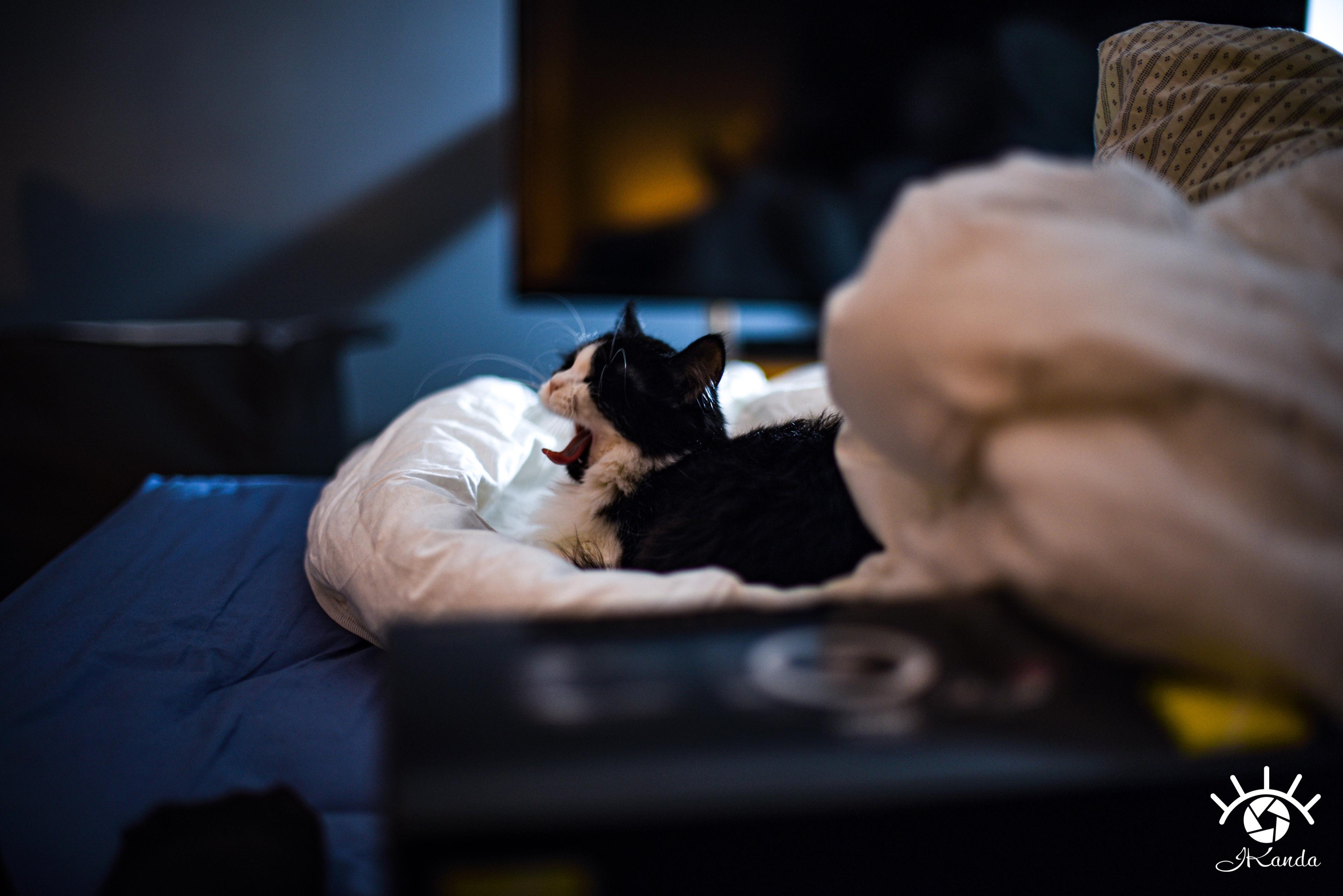 JKanda_DSC_0048